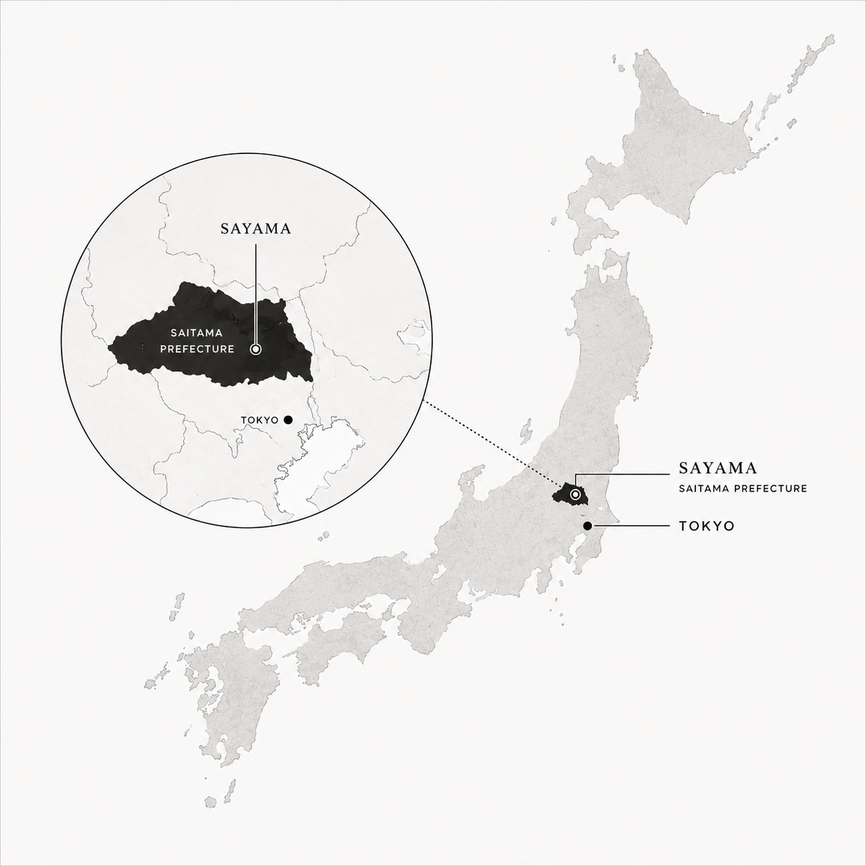 Map showing Sayama in Japan